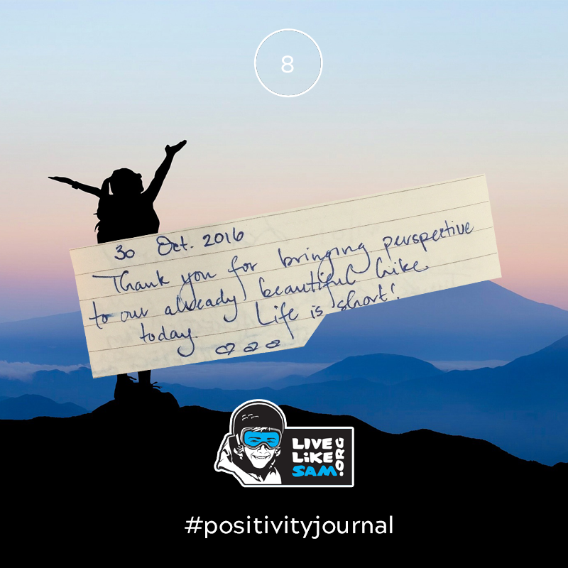 Live Like Sam positivity journal