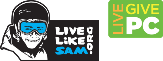 lls-livepcgivepc-logo